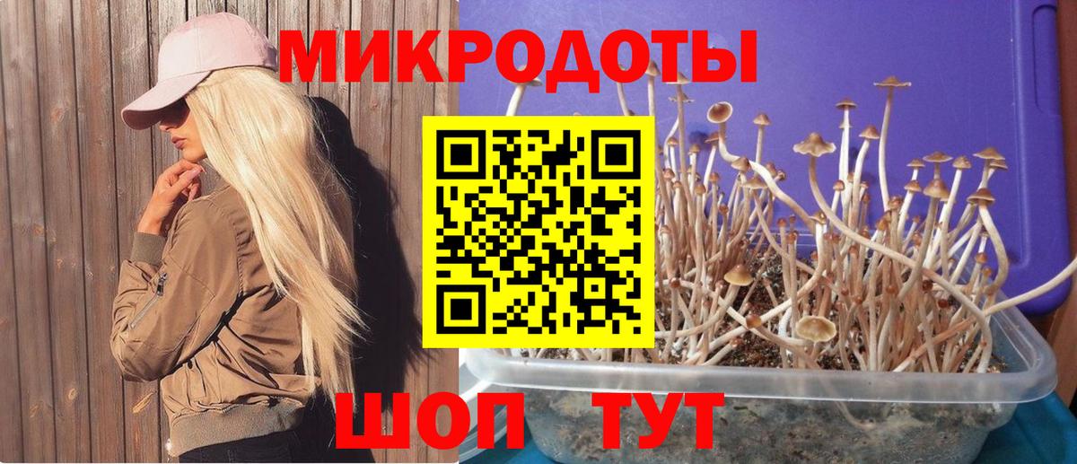 Северск  Галлюциногенные грибы ЛСД  продажа наркотиков  Вход с VPN 